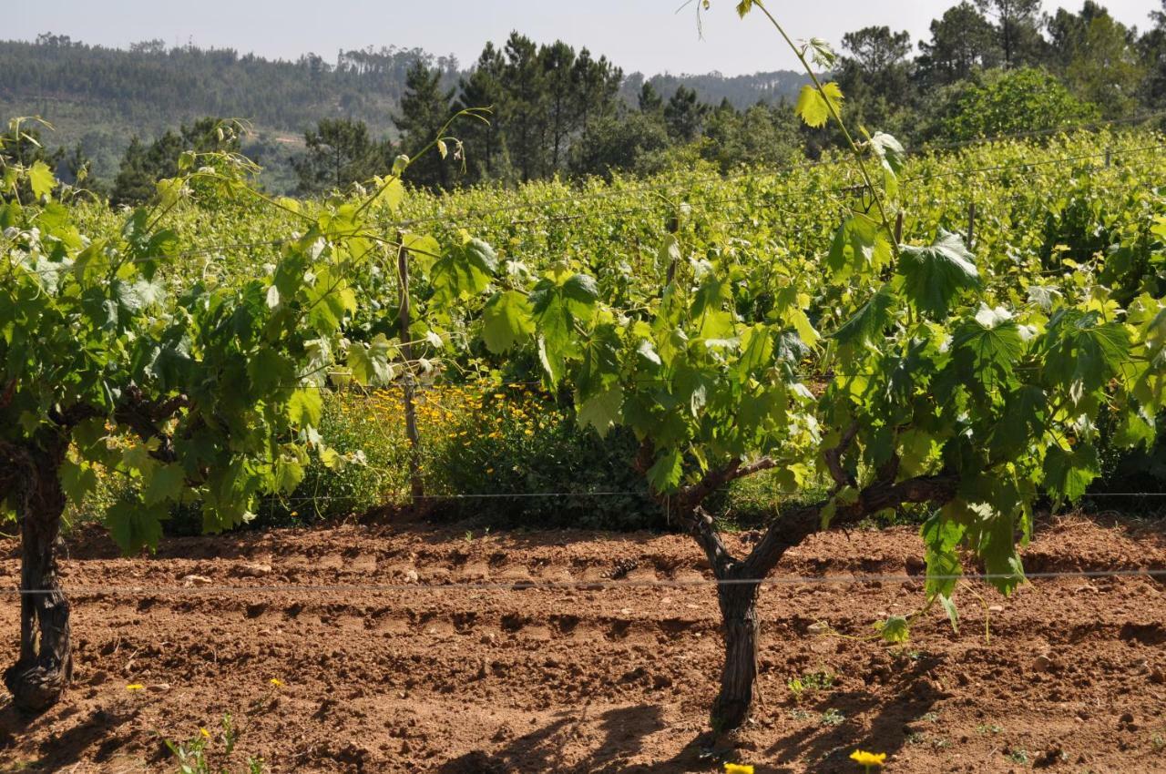 Quinta Da Serrana Ourém Exteriör bild