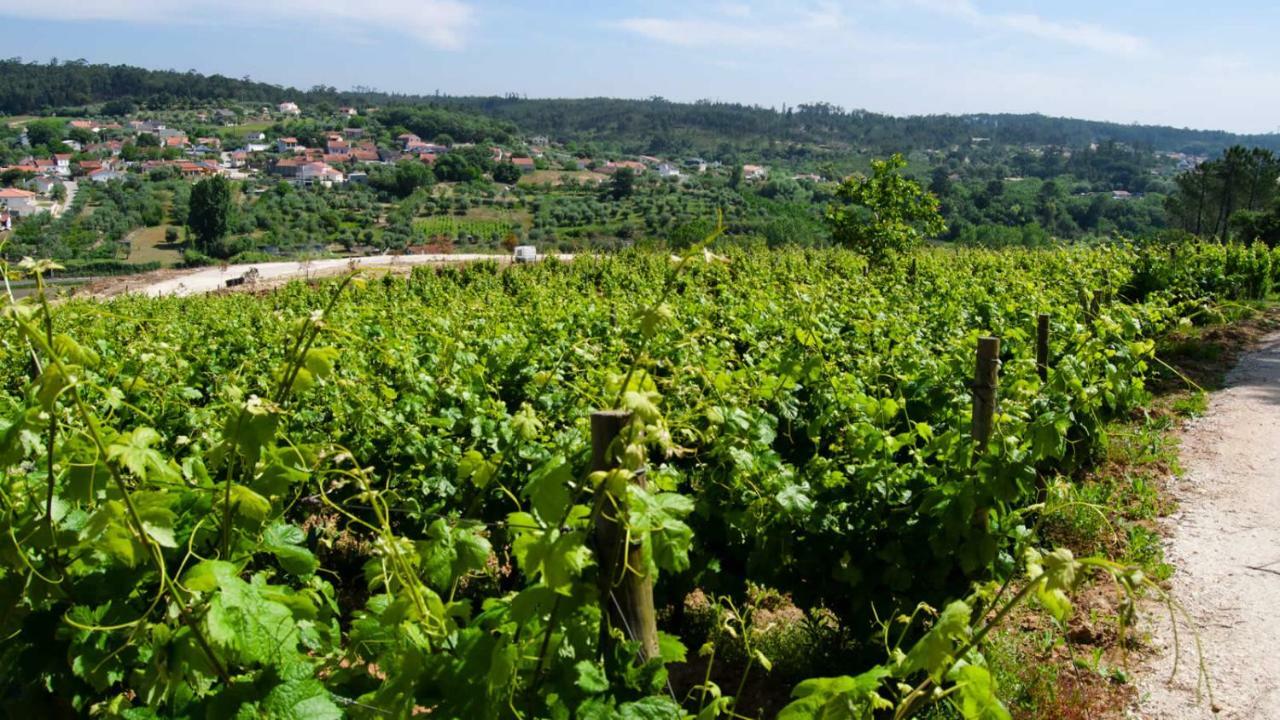 Quinta Da Serrana Ourém Exteriör bild